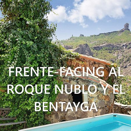 Casa Rural - Laendliches Haus, Pepita La De Las Flores Техеда Екстер'єр фото