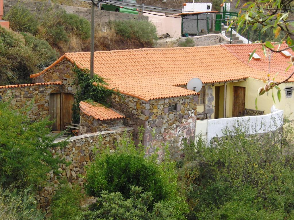 Casa Rural - Laendliches Haus, Pepita La De Las Flores Техеда Екстер'єр фото