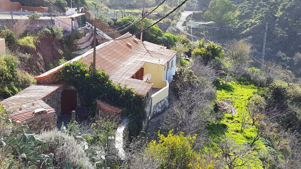 Casa Rural - Laendliches Haus, Pepita La De Las Flores Техеда Екстер'єр фото