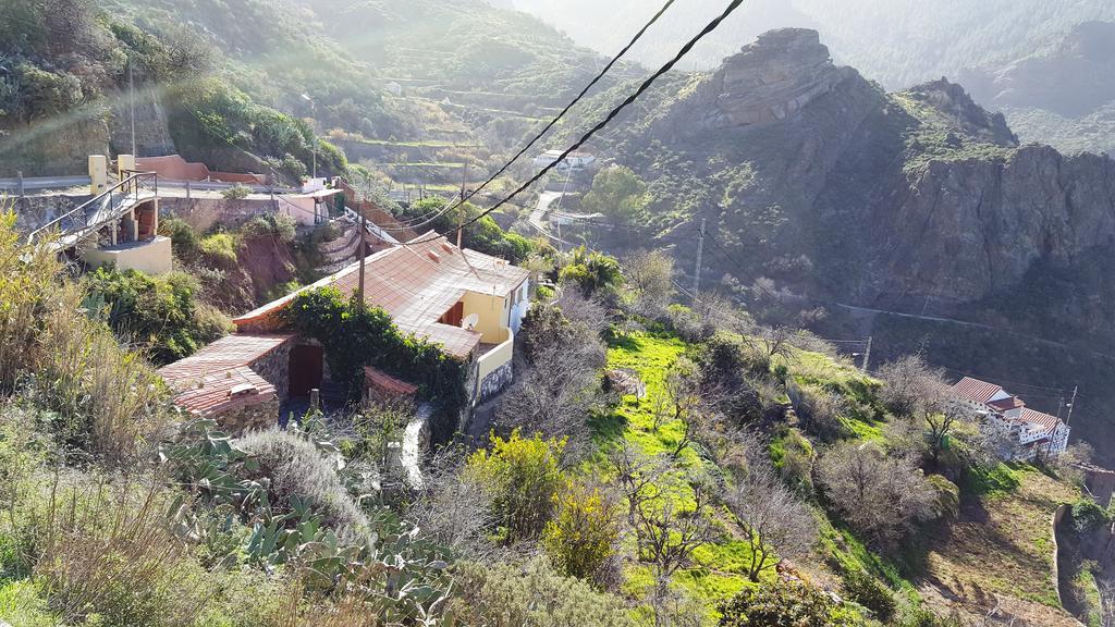 Casa Rural - Laendliches Haus, Pepita La De Las Flores Техеда Екстер'єр фото
