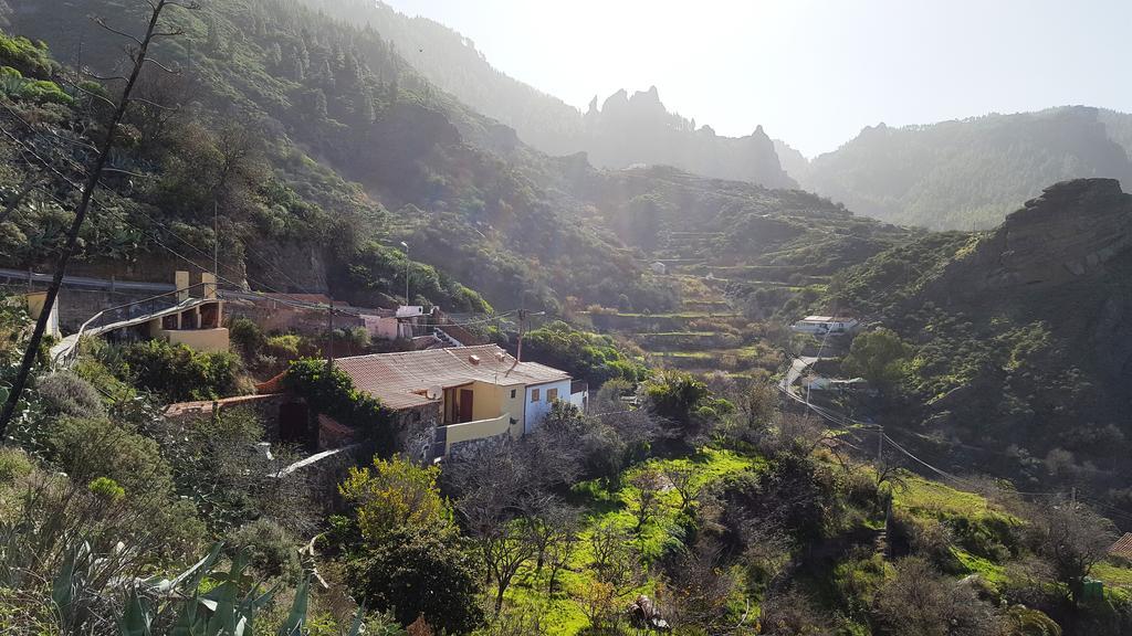 Casa Rural - Laendliches Haus, Pepita La De Las Flores Техеда Екстер'єр фото