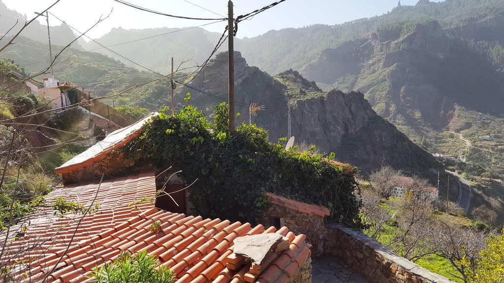 Casa Rural - Laendliches Haus, Pepita La De Las Flores Техеда Екстер'єр фото
