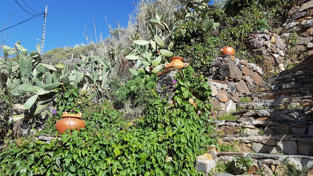 Casa Rural - Laendliches Haus, Pepita La De Las Flores Техеда Екстер'єр фото