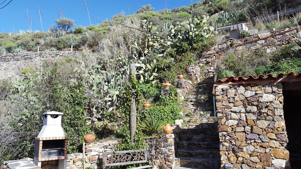 Casa Rural - Laendliches Haus, Pepita La De Las Flores Техеда Екстер'єр фото