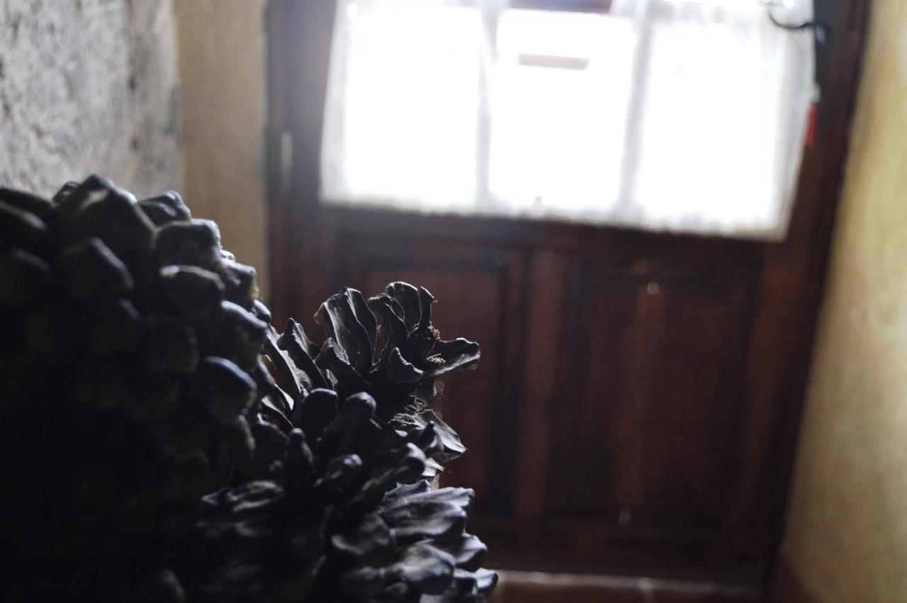 Casa Rural - Laendliches Haus, Pepita La De Las Flores Техеда Екстер'єр фото