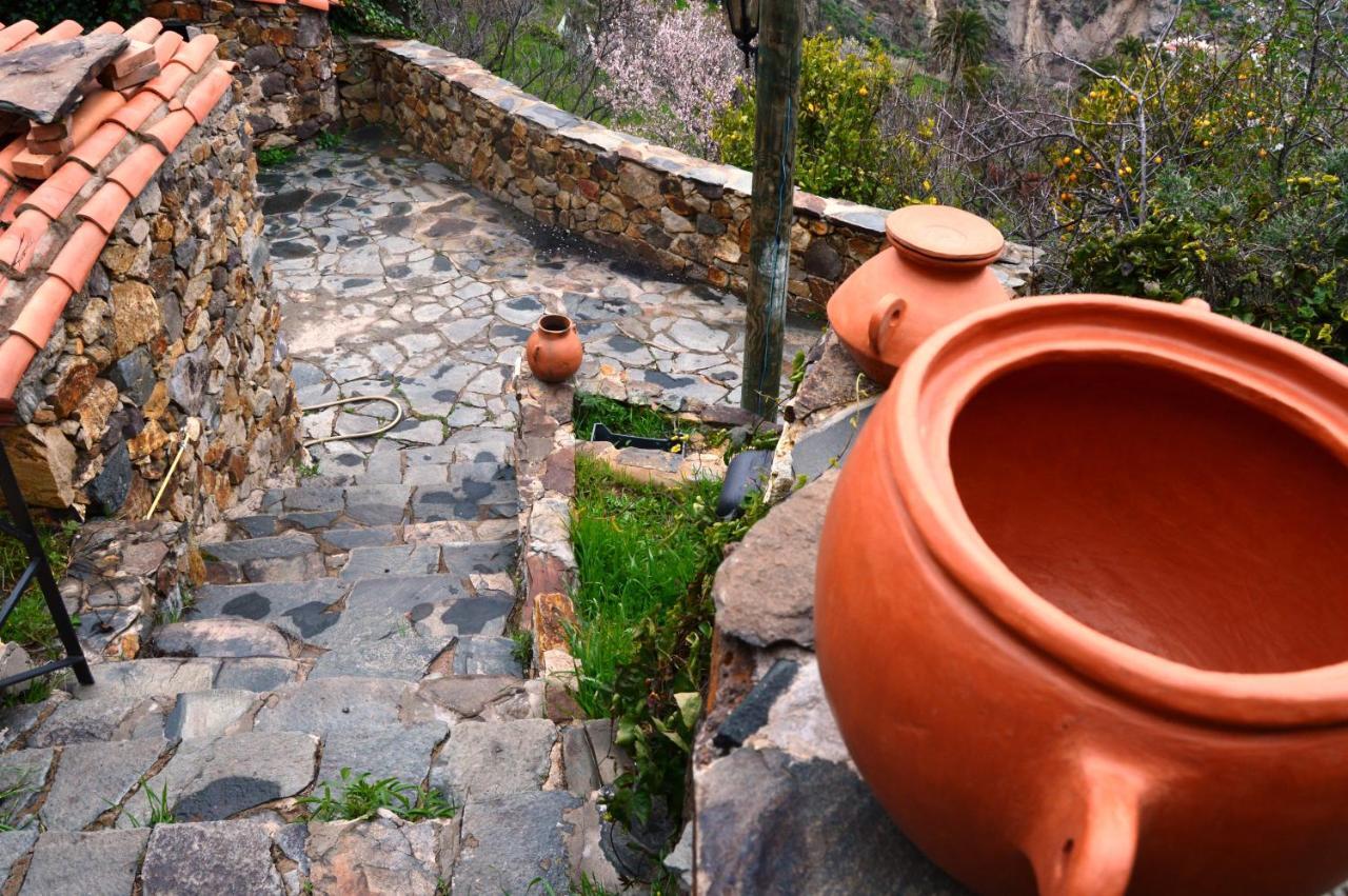 Casa Rural - Laendliches Haus, Pepita La De Las Flores Техеда Екстер'єр фото